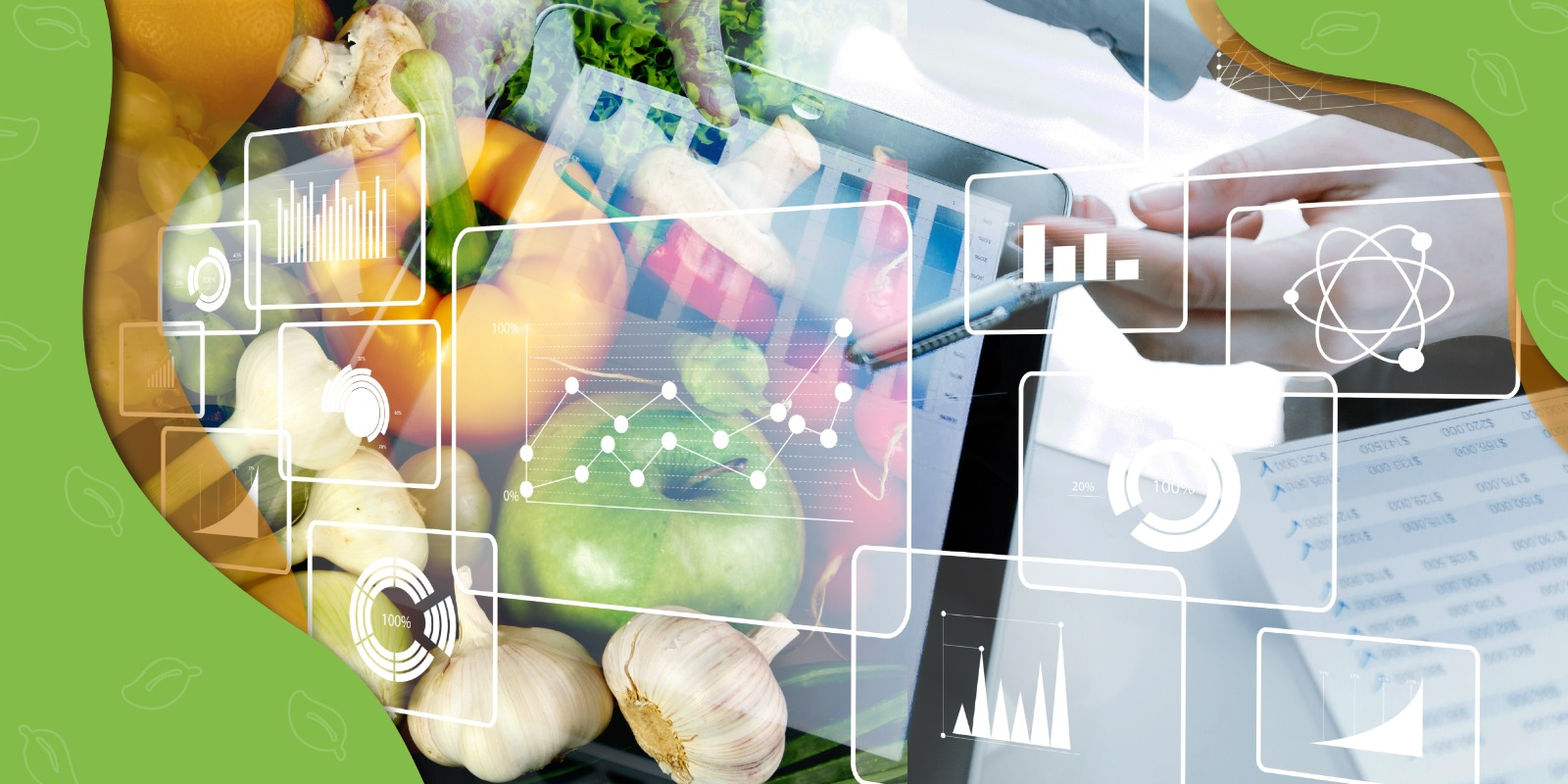MÁSTER DE NUTRICIÓN - DIETOTERAPIA Y CÁLCULO DIETÉTICO EN EL PROCESO PATOLÓGICO